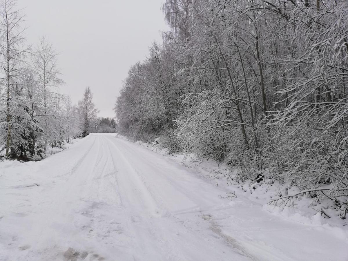 Perkonu Namins Villa Balvi Buitenkant foto